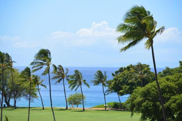 Maui Eldorado Condo K206 House in Kaanapali