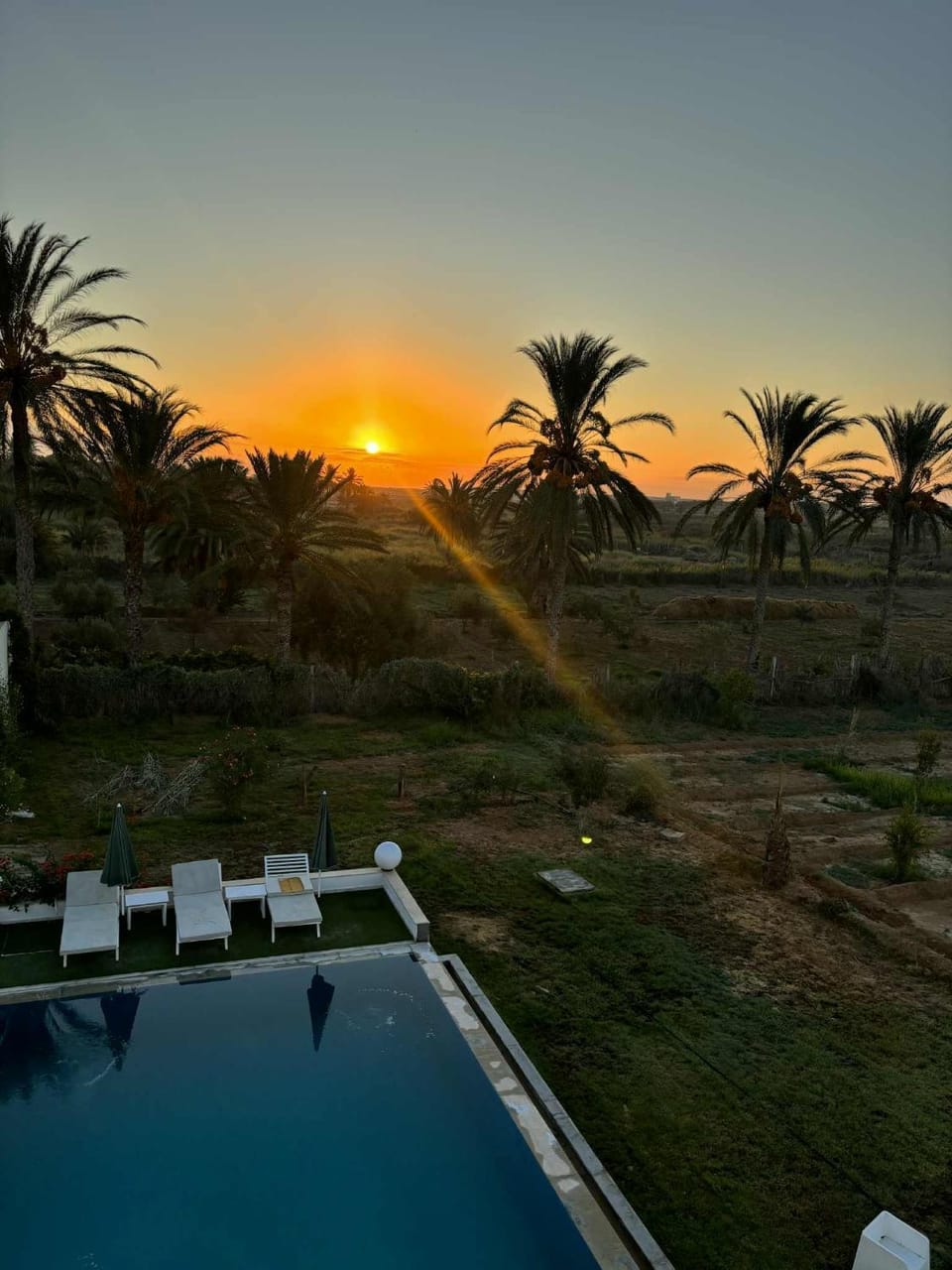 Dar Jamila - Au coeur de l'Oasis - Villa in Tunisia