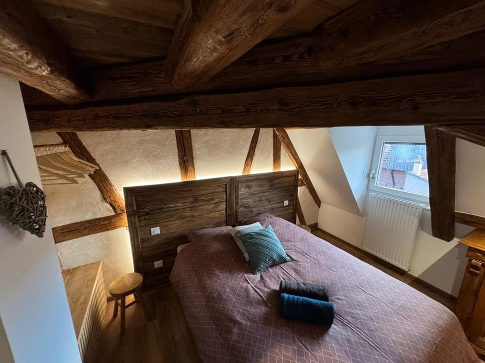 Gite Premium au grenier de l'Ours Apartment in Grand Est