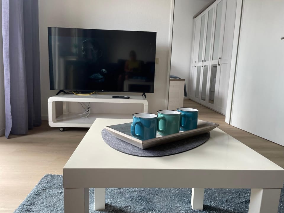 TV and multimedia