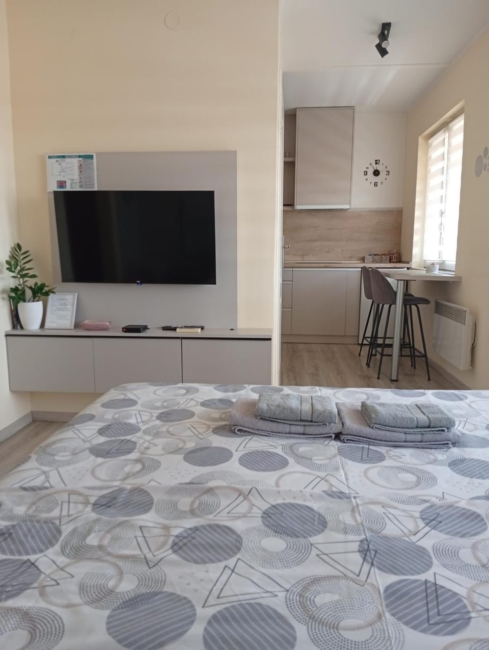 Apartman Slađa Apartment in Novi Sad