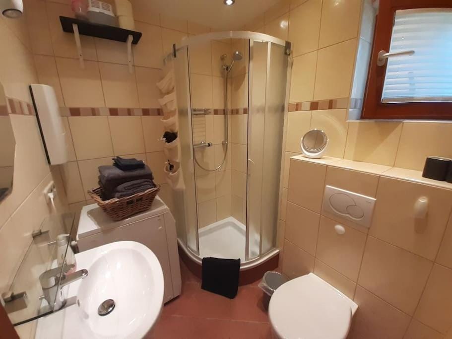 Shower, Toilet, Bathroom, towels