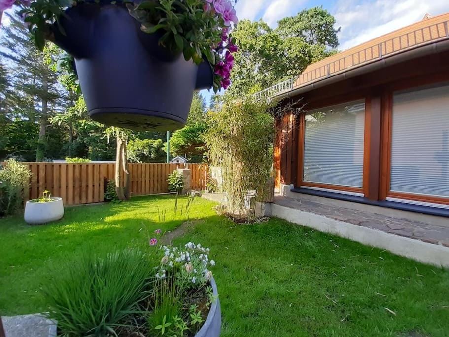 Property building, Garden, Garden