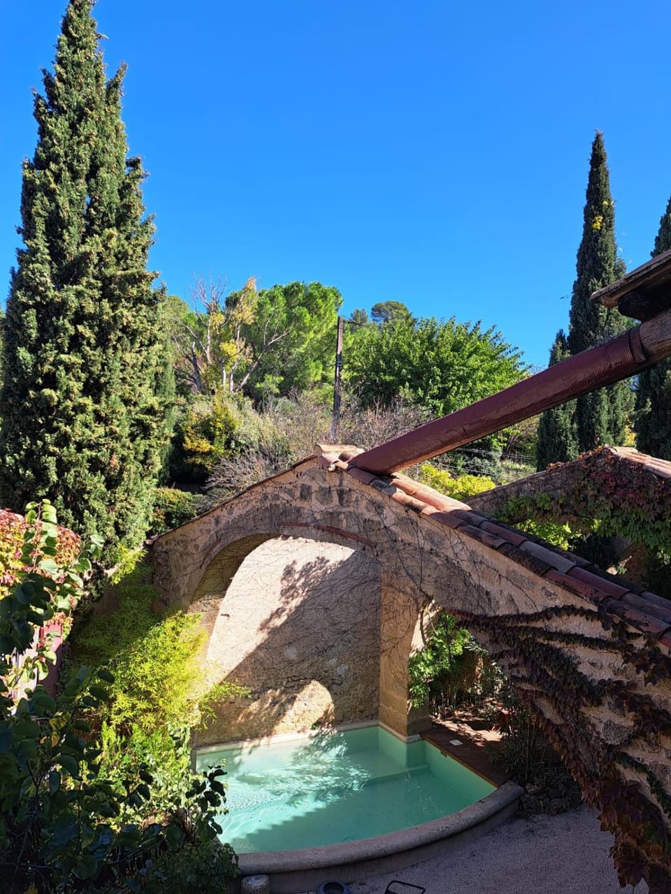 Day, Garden, Swimming pool