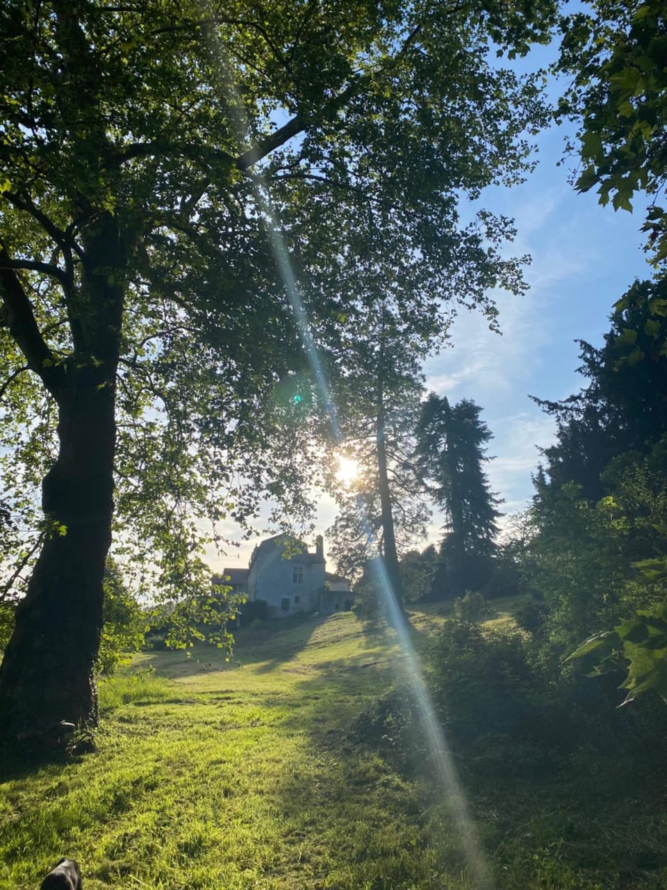 Natural landscape, Garden view