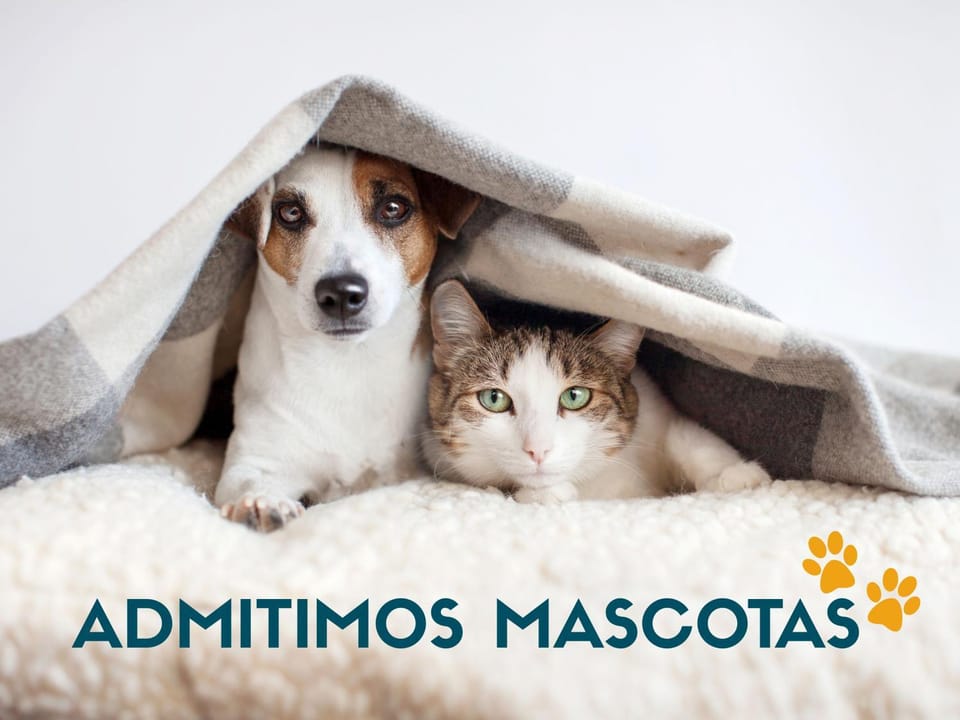Pets