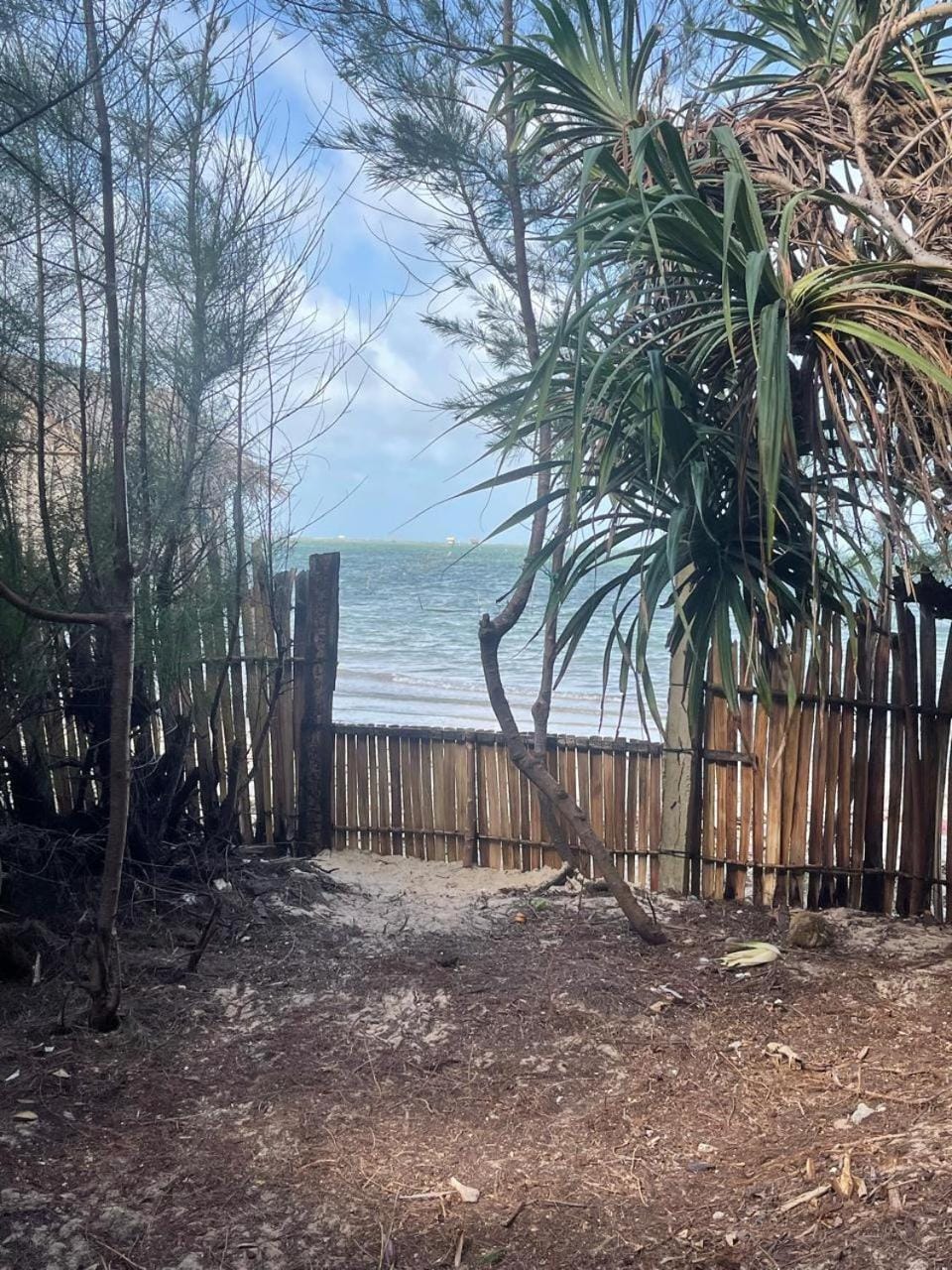 Sea view