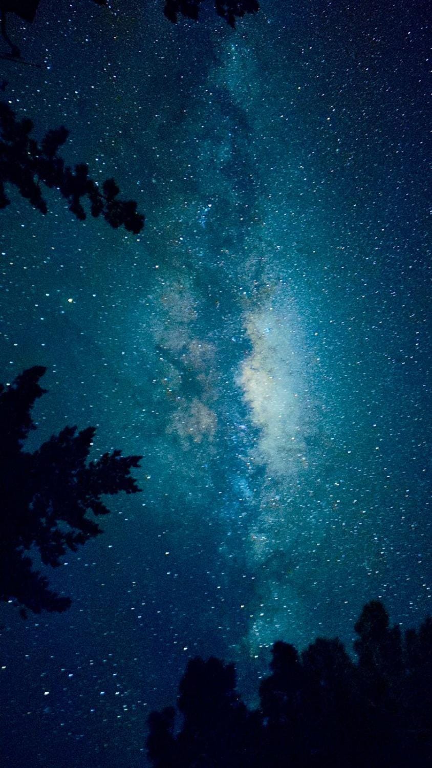 Night