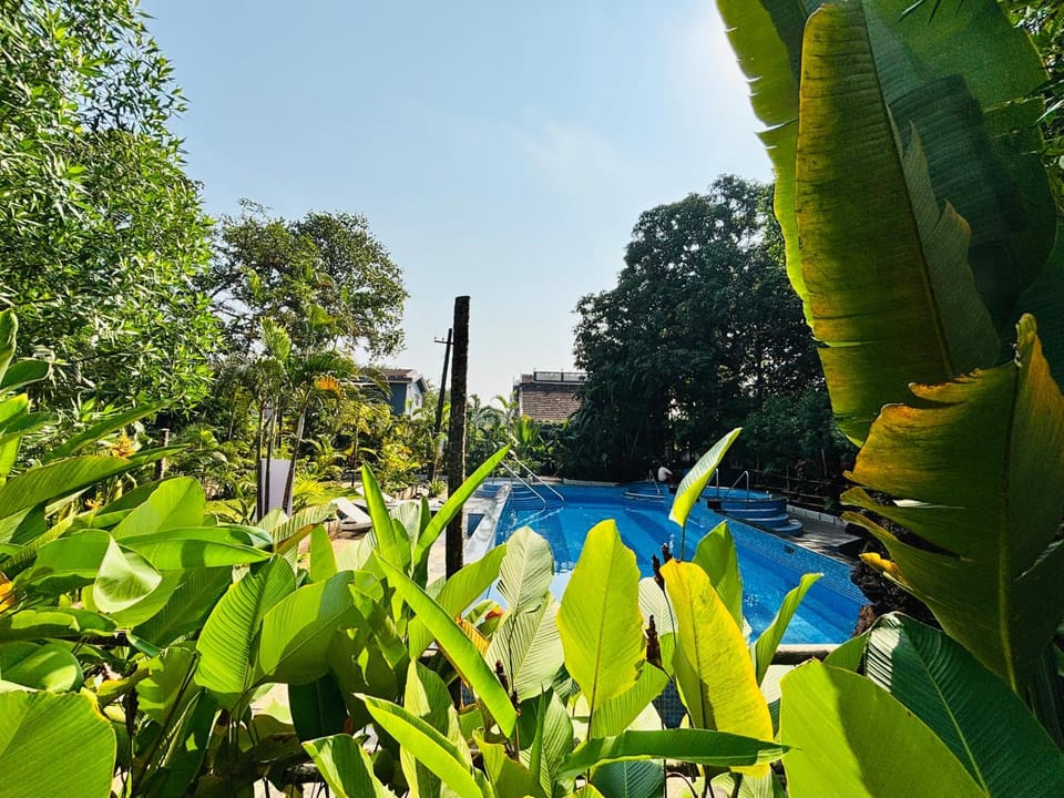 AR APARTMENTS & VILLAS - Assagao Villa in Goa, India
