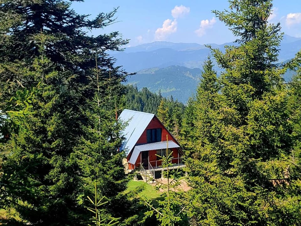 არწივის ბუდე eagle's nest Villa in Adjara, Georgia