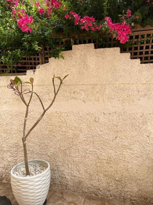 lovely studio Apartment in South Sinai Governorate