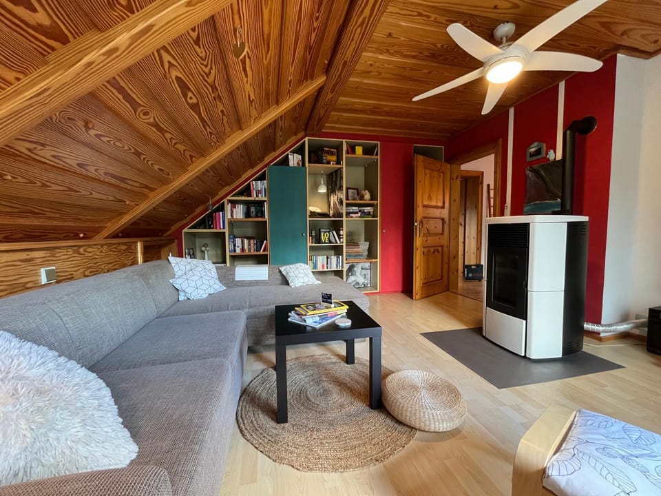 Library, TV and multimedia, Living room, Seating area, fireplace