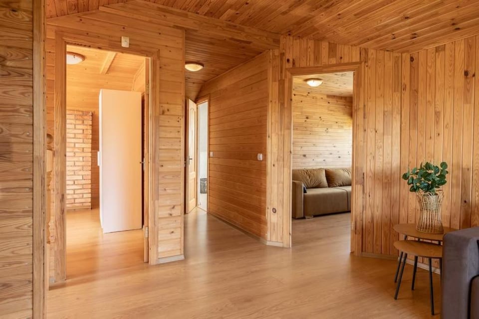 Nature Gem Lake House Ildzes House in Latvia