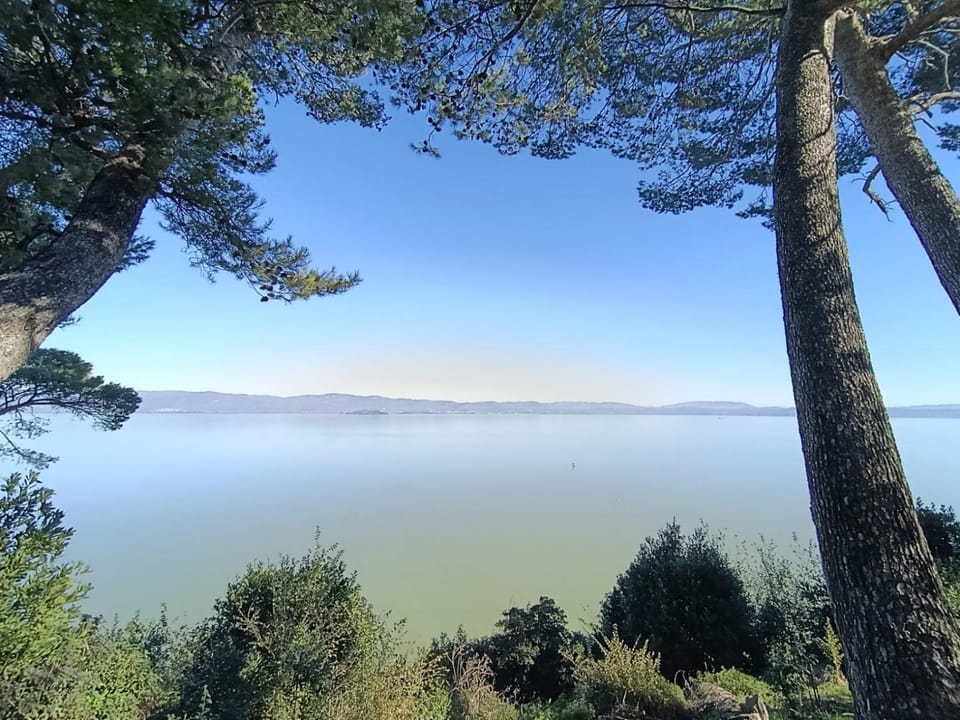La Gatta sul Tetto Apartment in Castiglione del Lago