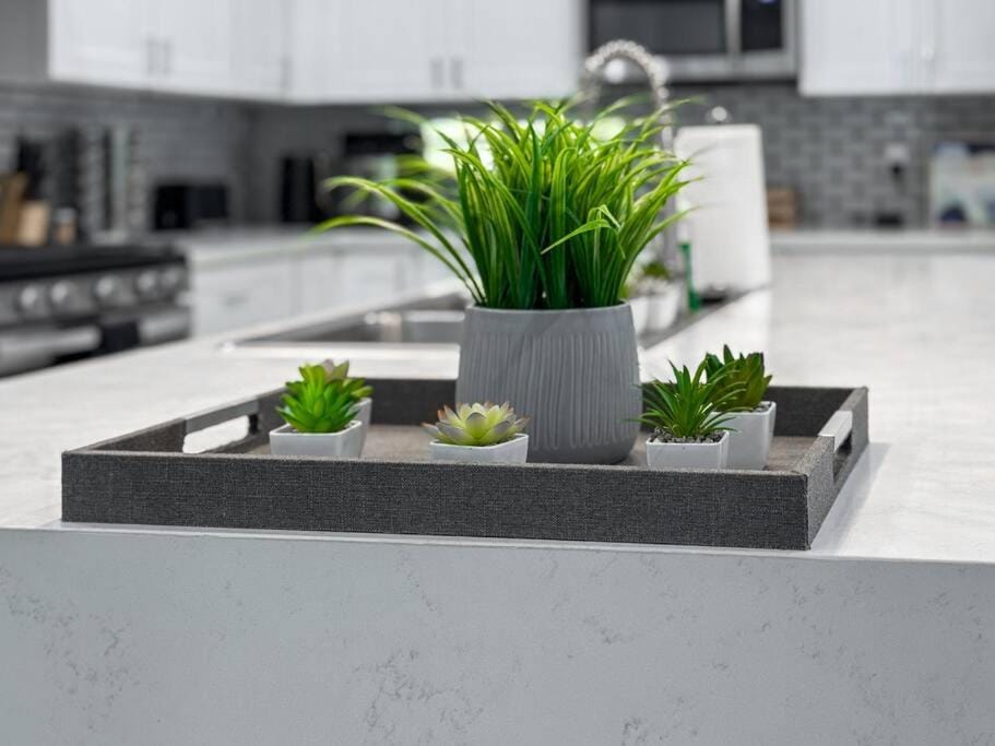 Day, Garden, Garden view