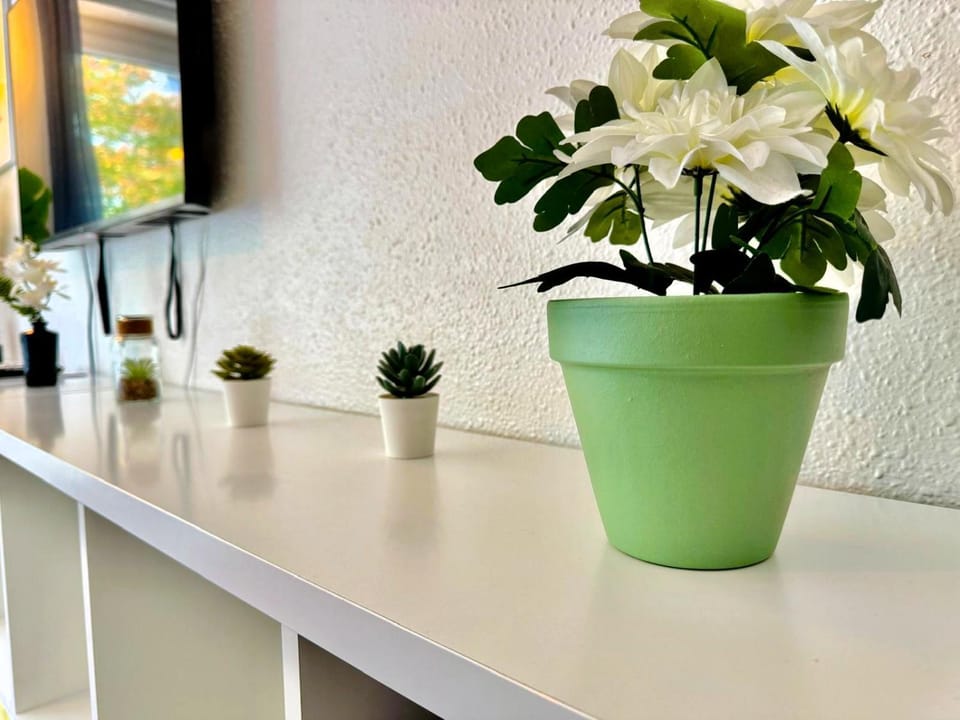 Appartement Frontalier 1 Apartment in Saint-Julien-en-Genevois