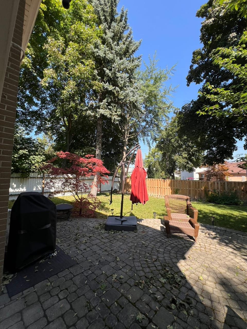 Garden view