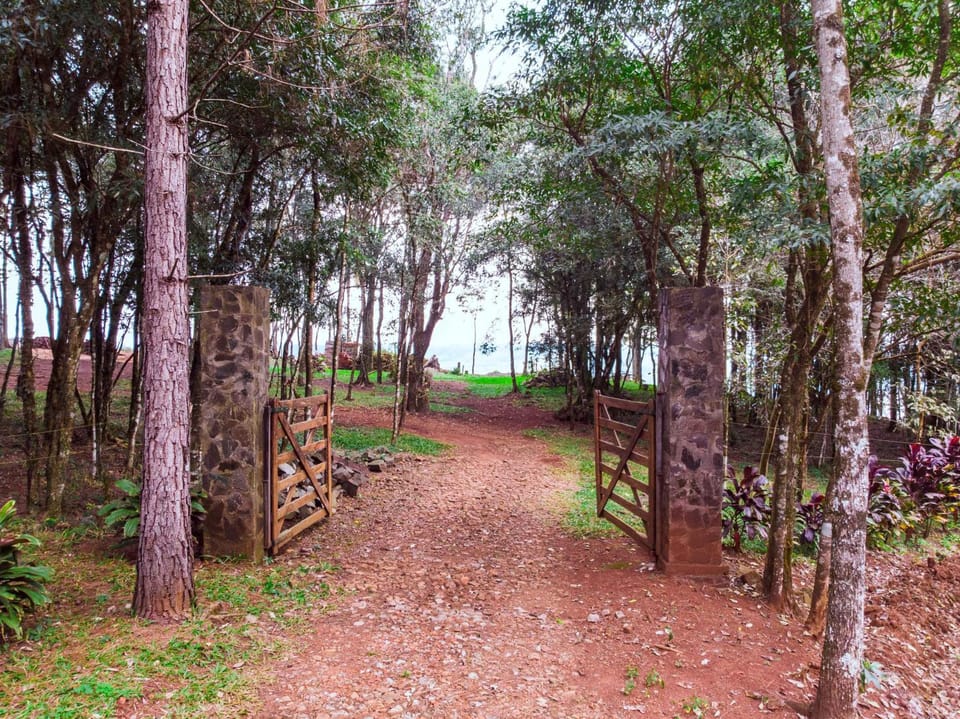 Natural landscape
