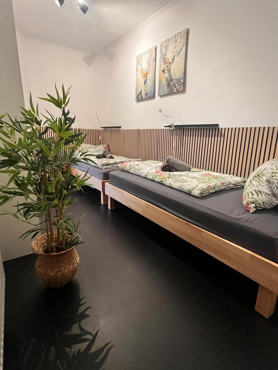 Apartment - 3 Schlafzimmer - zentrale Lage - Garten Apartment in Nuremberg