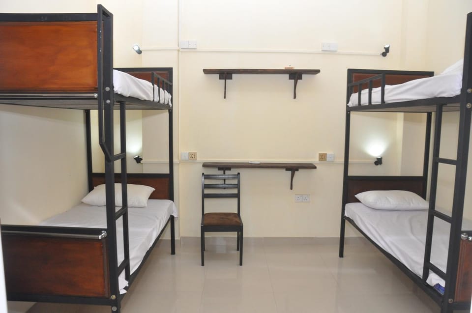 Bed, Photo of the whole room, Bedroom, bunk bed