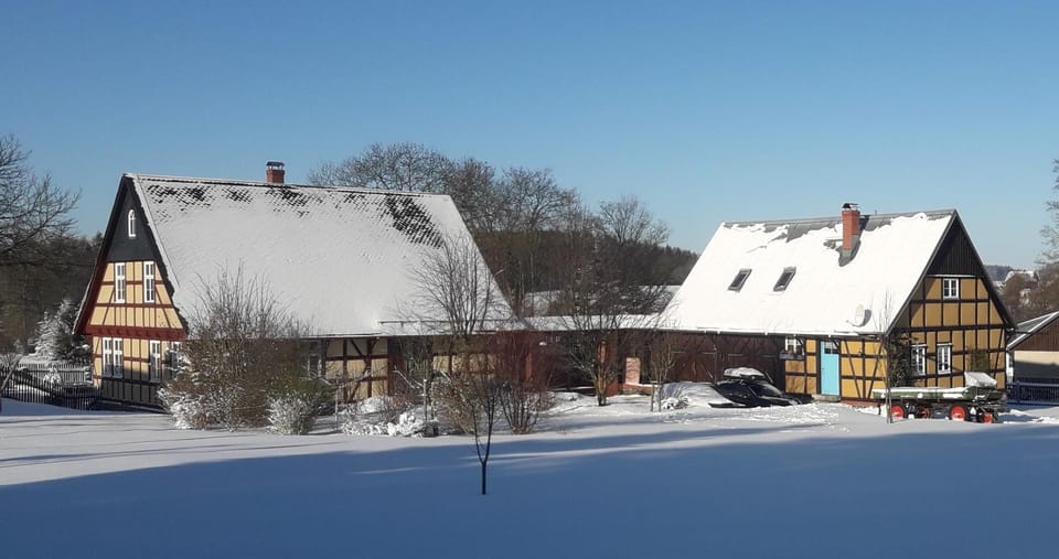 Winter
