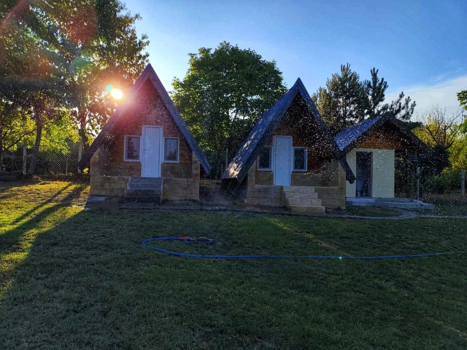 Property building, Spring, Day, Natural landscape, Garden, Garden view