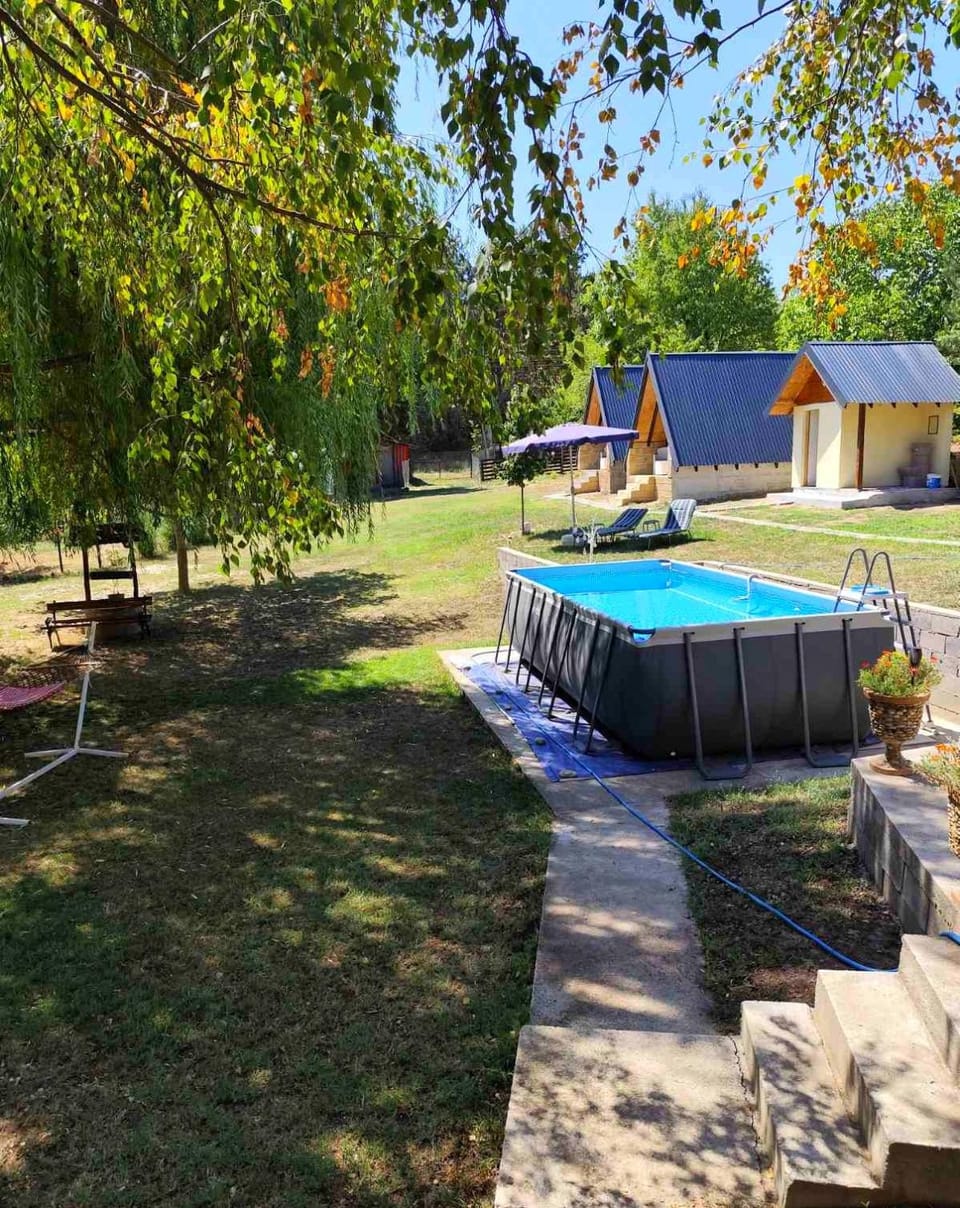 Day, Natural landscape, Garden, Garden view, Pool view, Swimming pool, sunbed