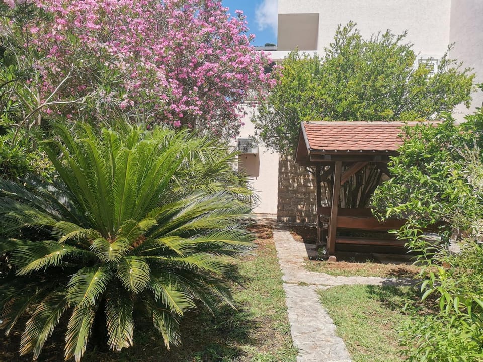 Garden, Garden, Garden view