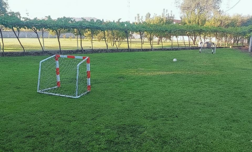 PeSa house-Pool, Jacuzzi,Fenced Garden & Football Apartment in Podgorica