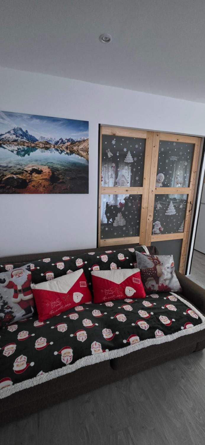Studio 30m2 avec chambre Apartment in Arâches-la-Frasse