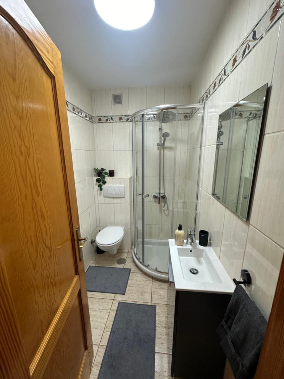 Toilet, Bathroom, towels, washing machine