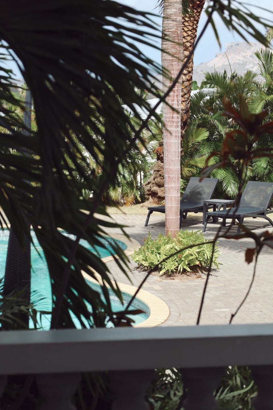 Garden, Swimming pool, sunbed