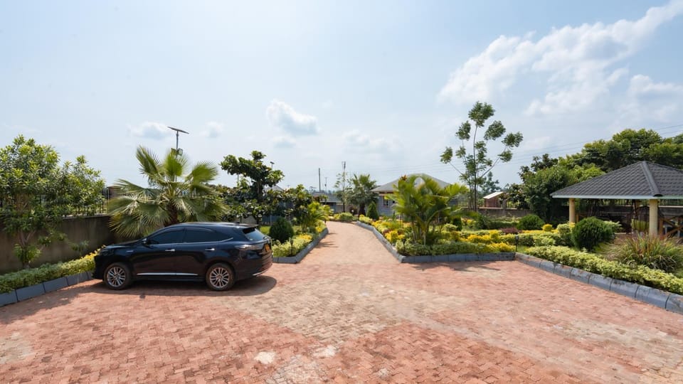 Natural landscape, Garden, Garden view, Parking
