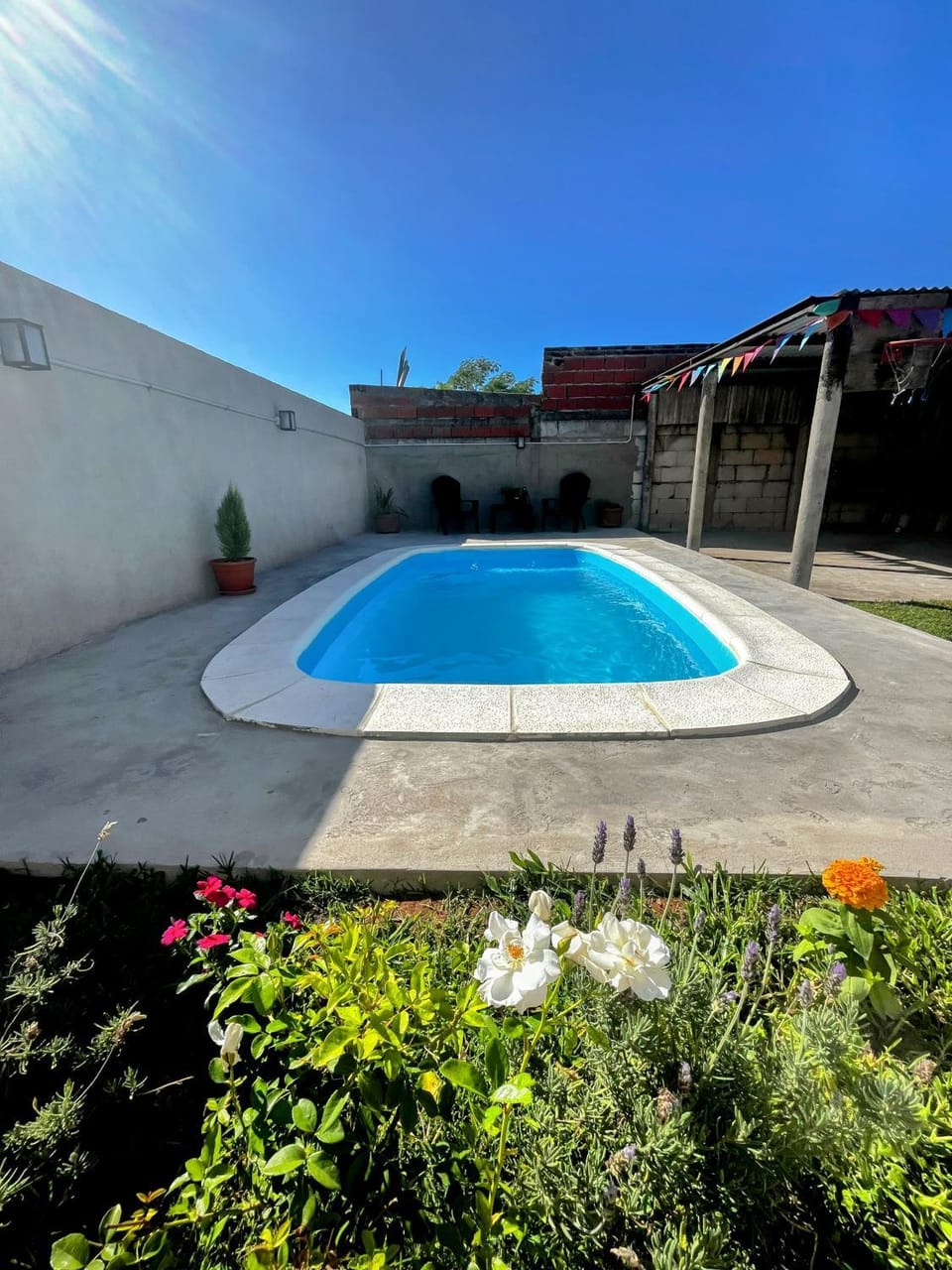 Spring, Day, Garden, Garden view, Pool view, Swimming pool, sunbed