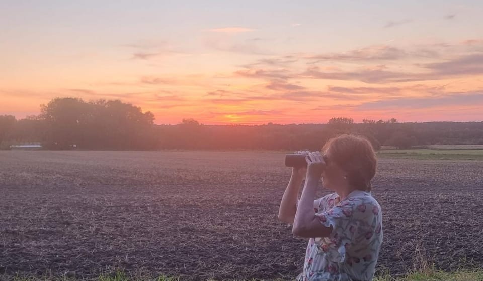 Natural landscape, Sunset