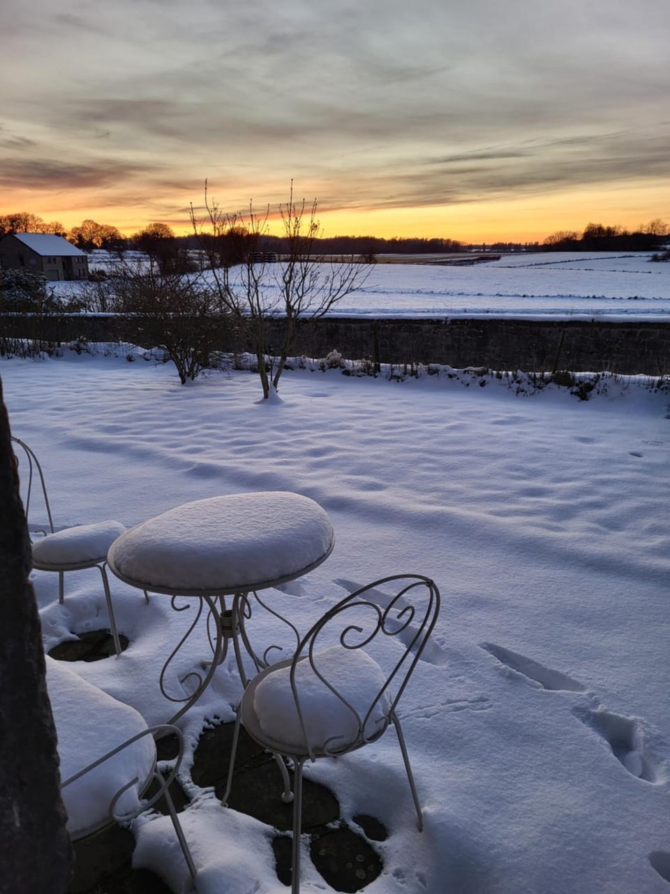 Winter, Garden
