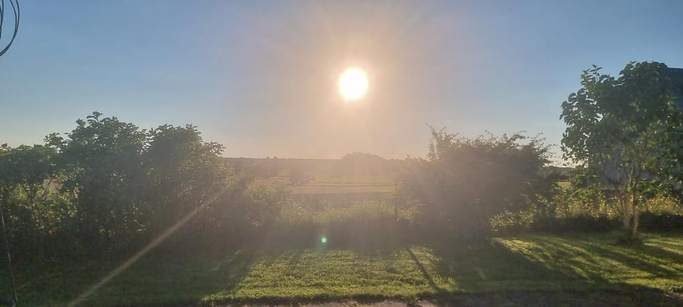 Garden, Sunset