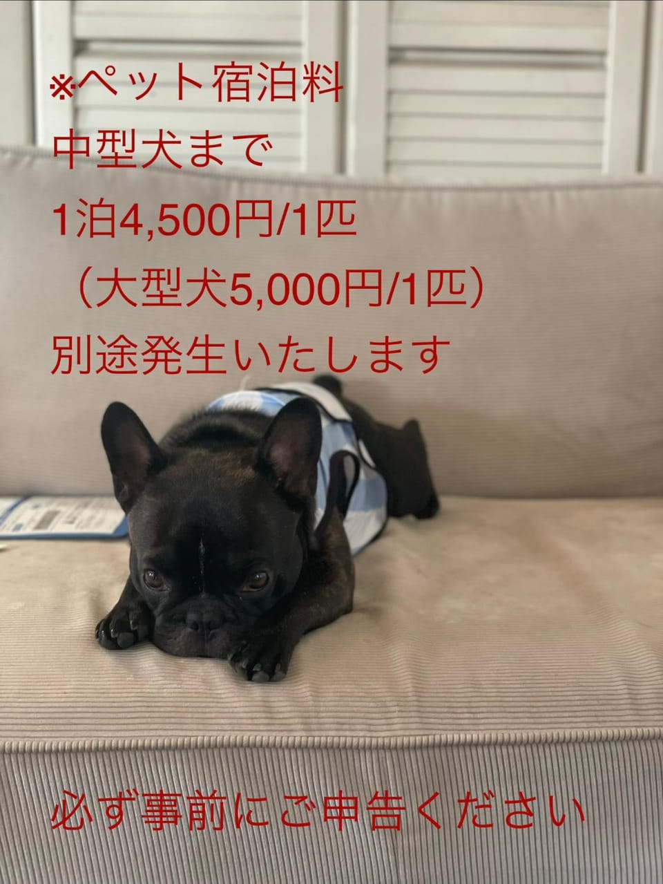 BBQグリル&Pizza窯付ワンルーム古民家ペット可ー葉山ー Villa in Yokosuka