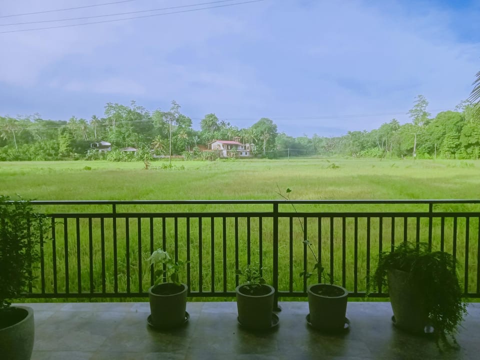 Natural landscape, Garden, Garden, Garden view
