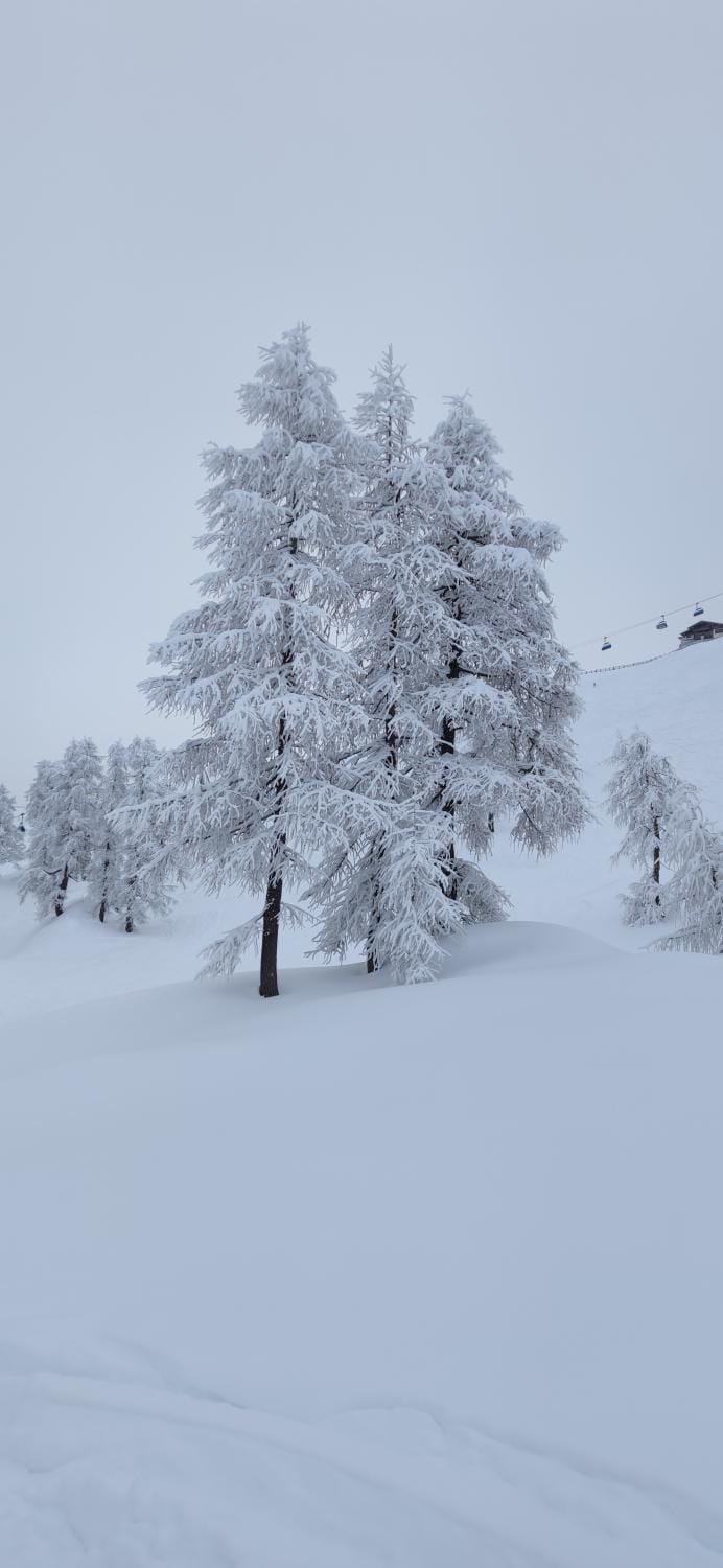 Natural landscape, Winter