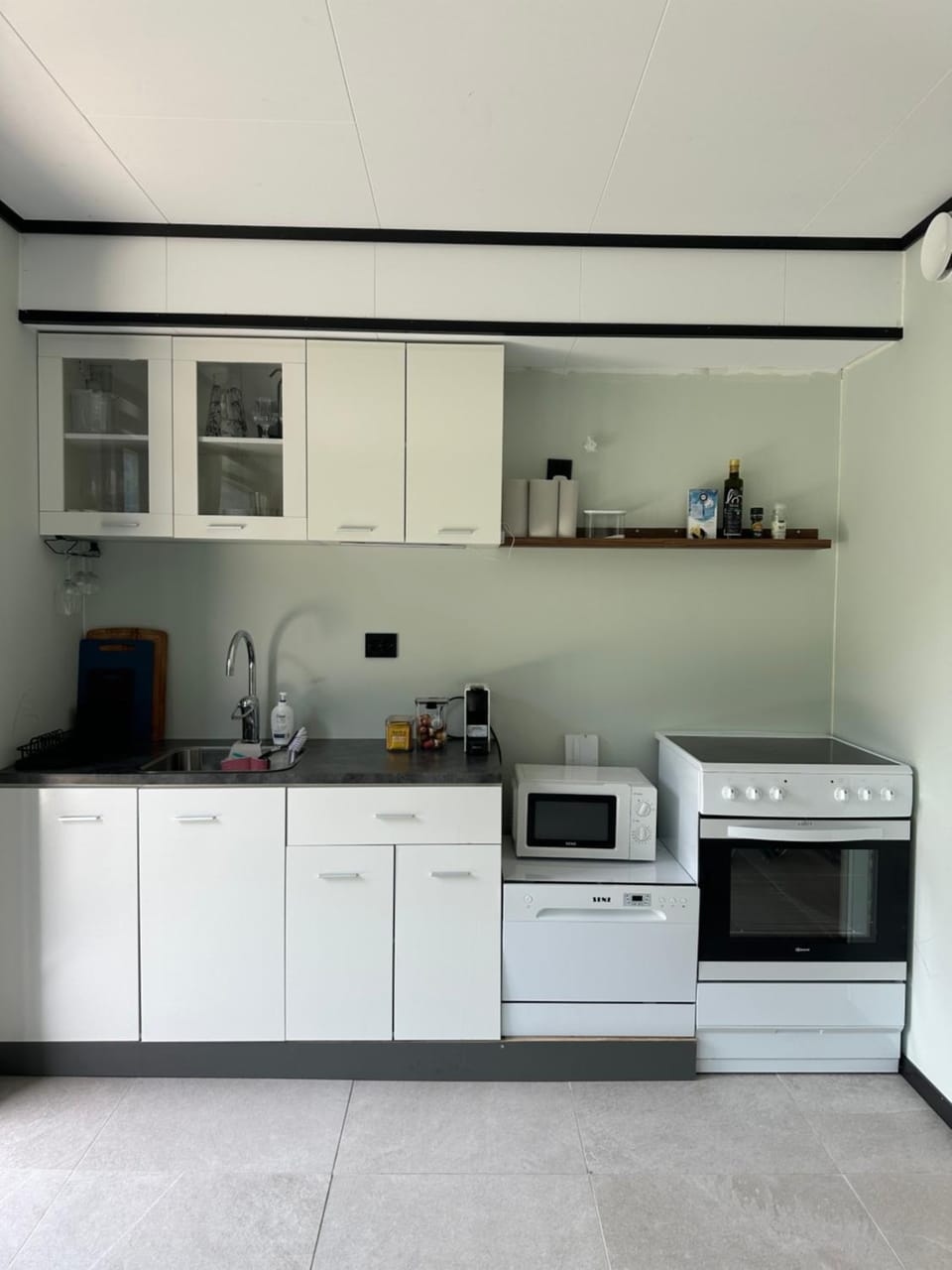 Coffee/tea facilities, Kitchen or kitchenette, dishwasher, minibar, oven, stove, toaster