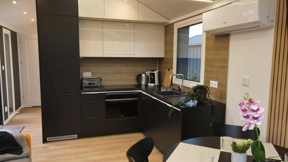 Kitchen or kitchenette, Dining area, oven, stove