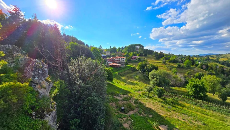 Natural landscape