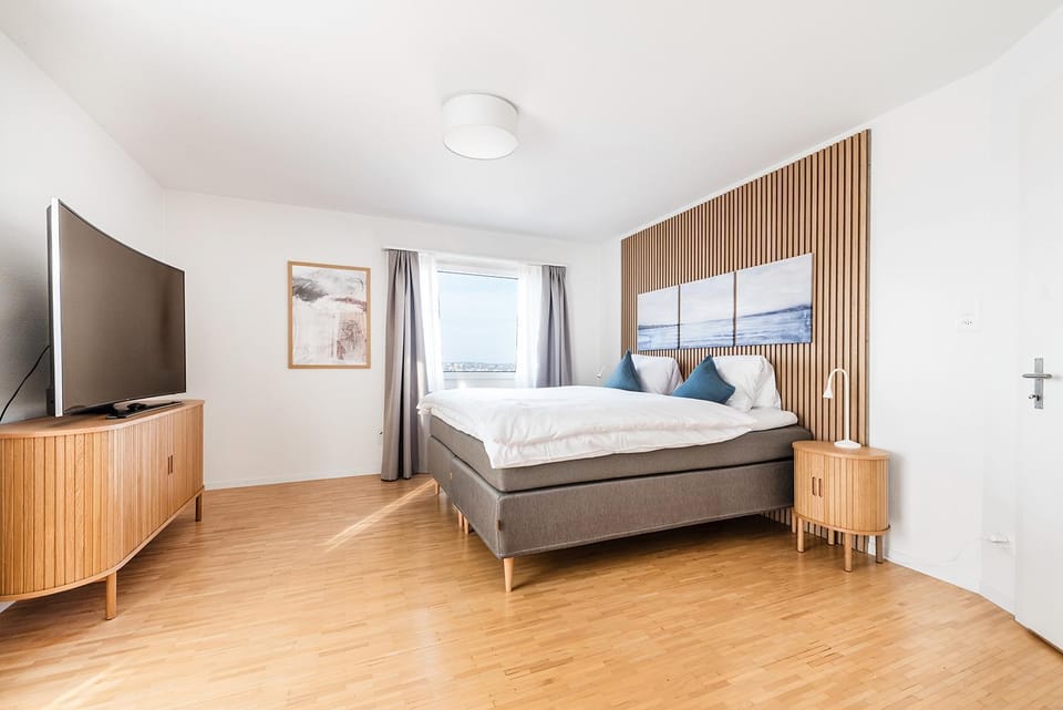 SOHO PENTHOUSE !Gratis Parken, Free Parking! Apartment in Baden-Württemberg