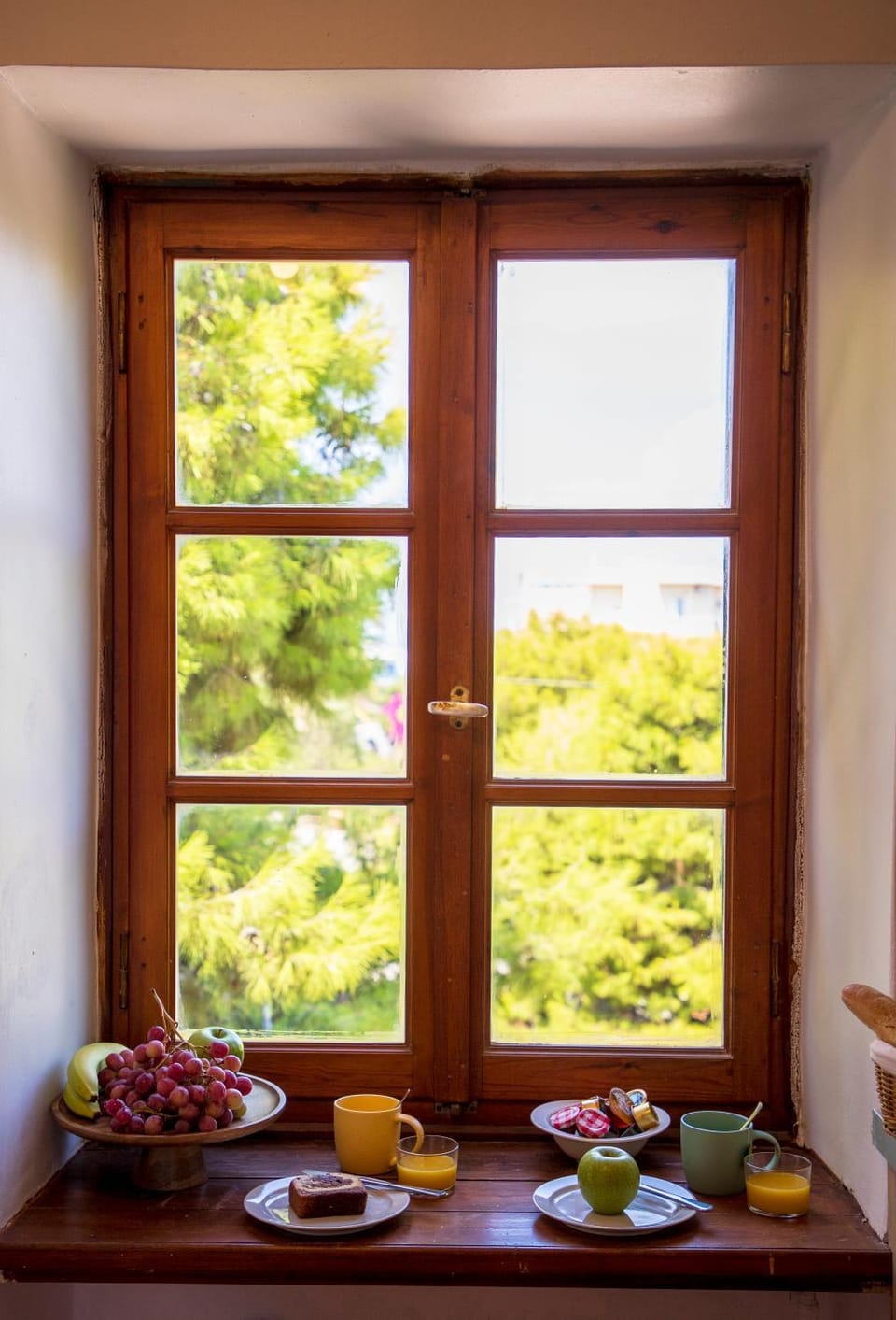 Garden view