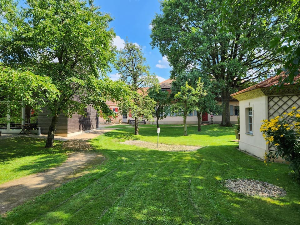 Property building, Patio, Garden, Inner courtyard view