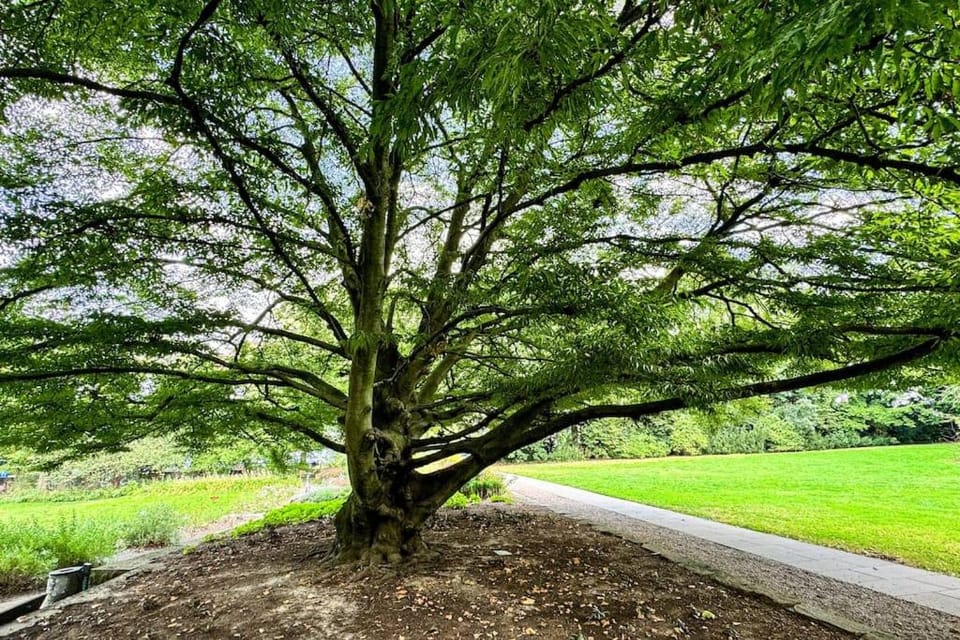 Spring, Day, Natural landscape