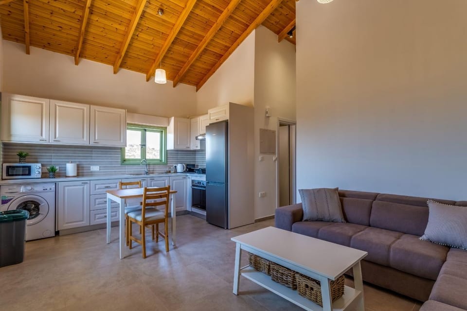 Kitchen or kitchenette, Living room, Dining area, oven