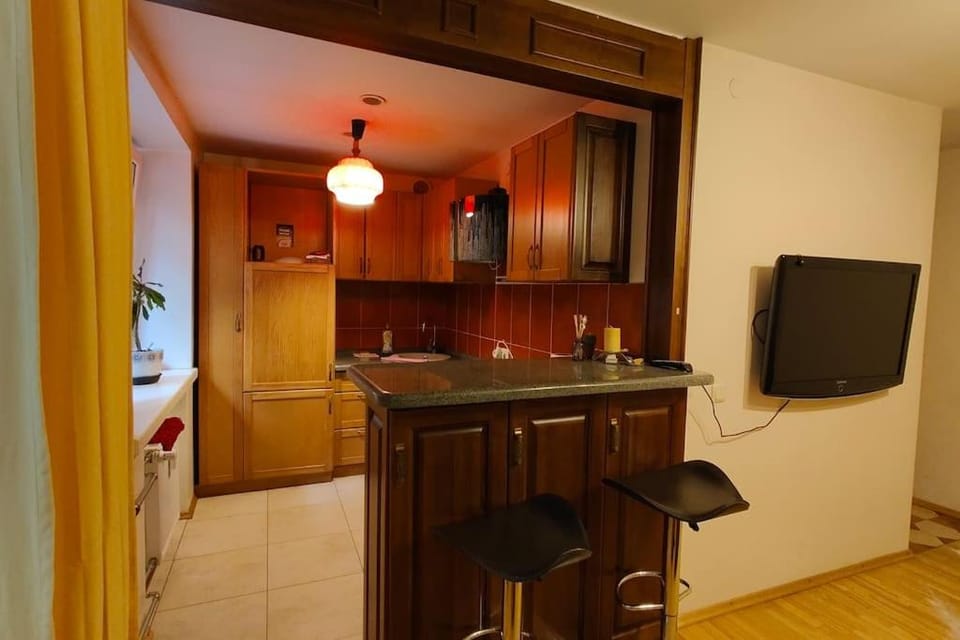 Kitchen or kitchenette, Dining area, oven