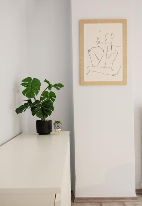 Homie 3BD Apart in Pagrati Apartment in Athens